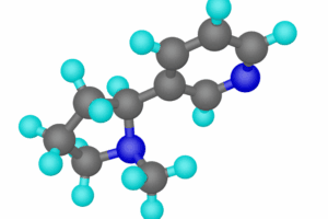 The Reasons For Elements Bonding Is? What Are Chemical Bonds?